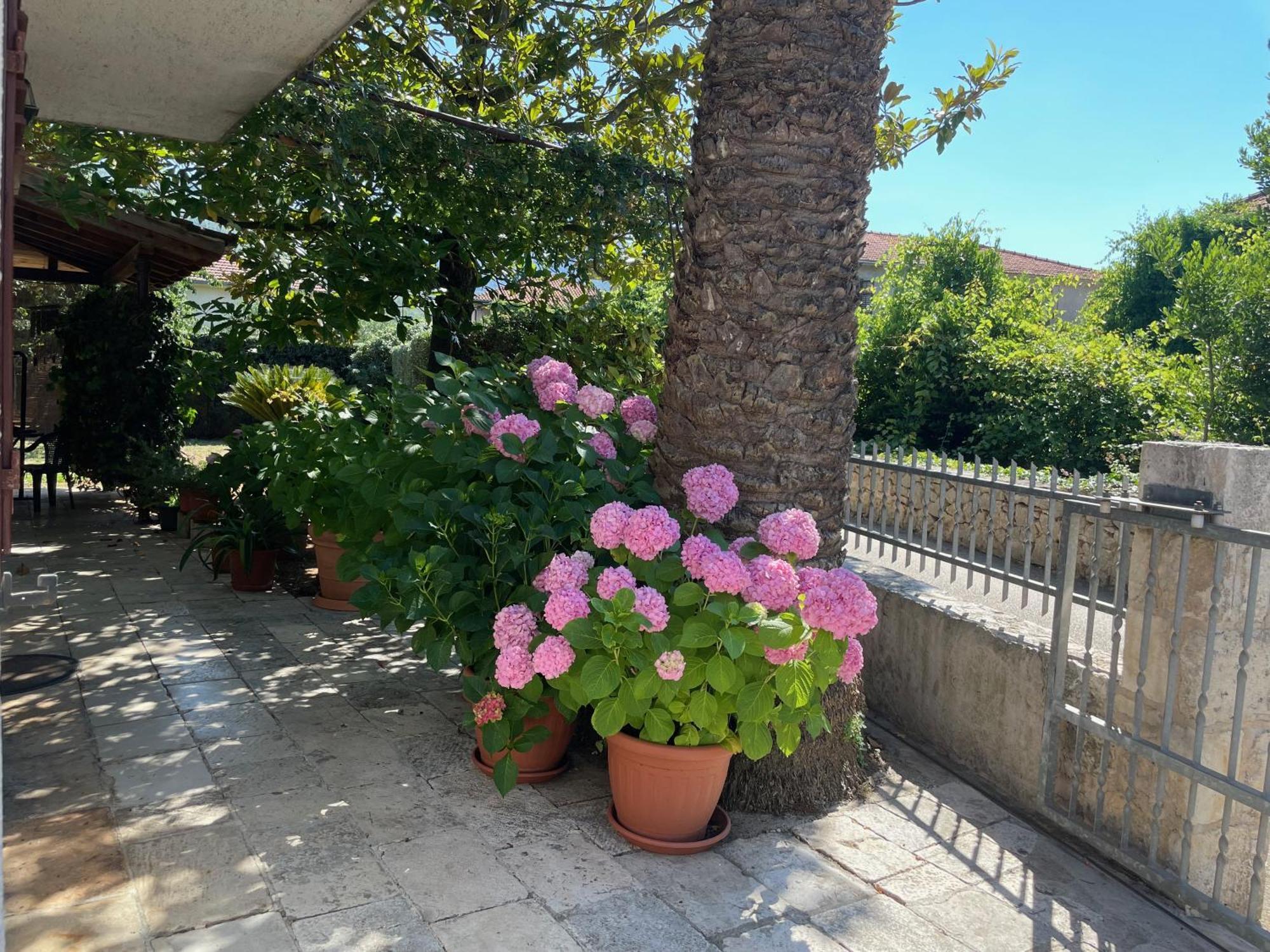 Hvar Guesthouse - Double Bedroom With Private Bathroom Jelsa  Exterior photo